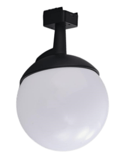 CARPO - IluminaPlusuy