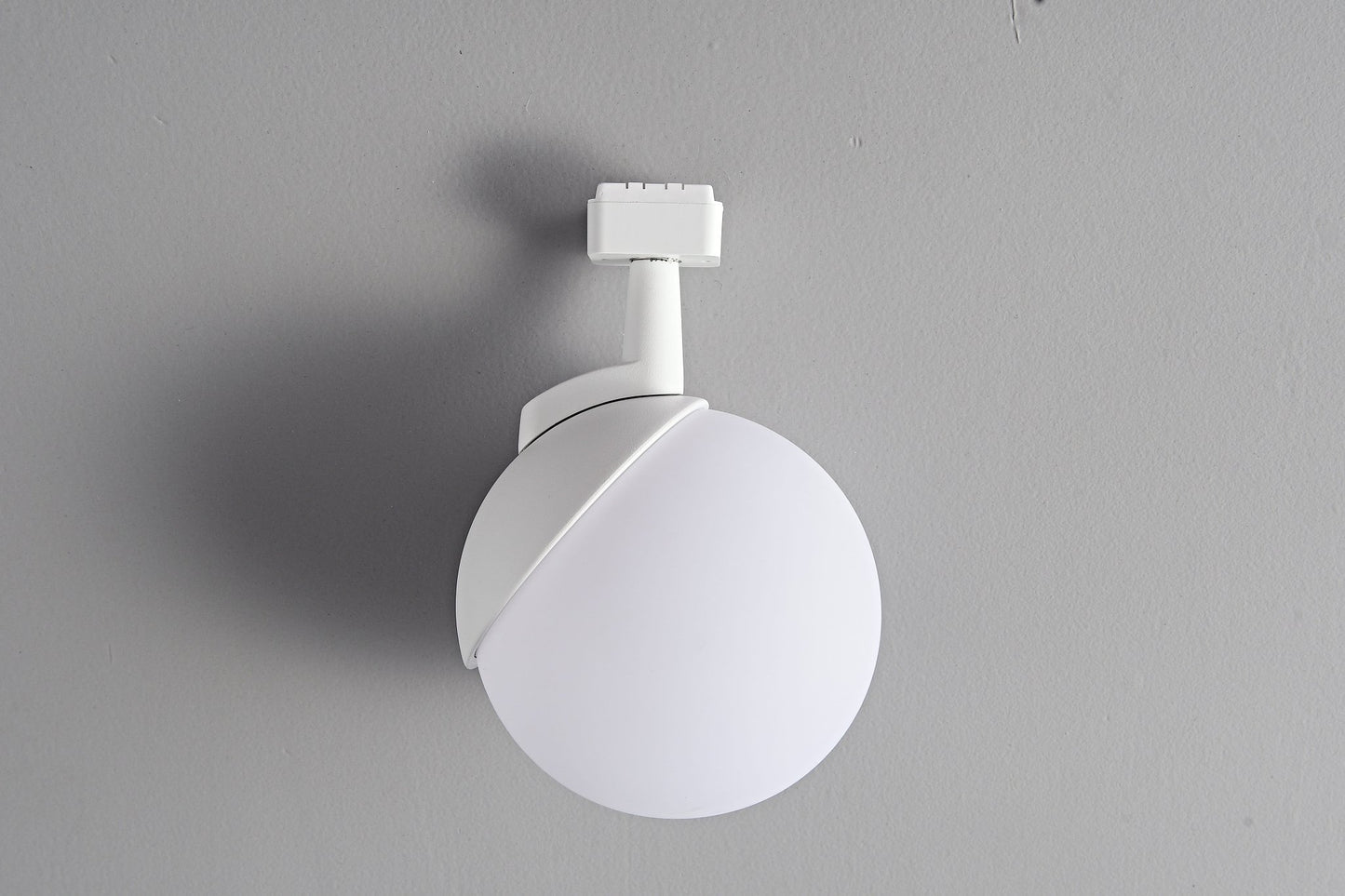 CARPO - IluminaPlusuy